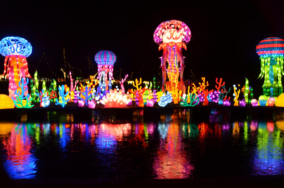 “The Wild” Chinese Lantern Festival Will Light up the Night in Huntsville